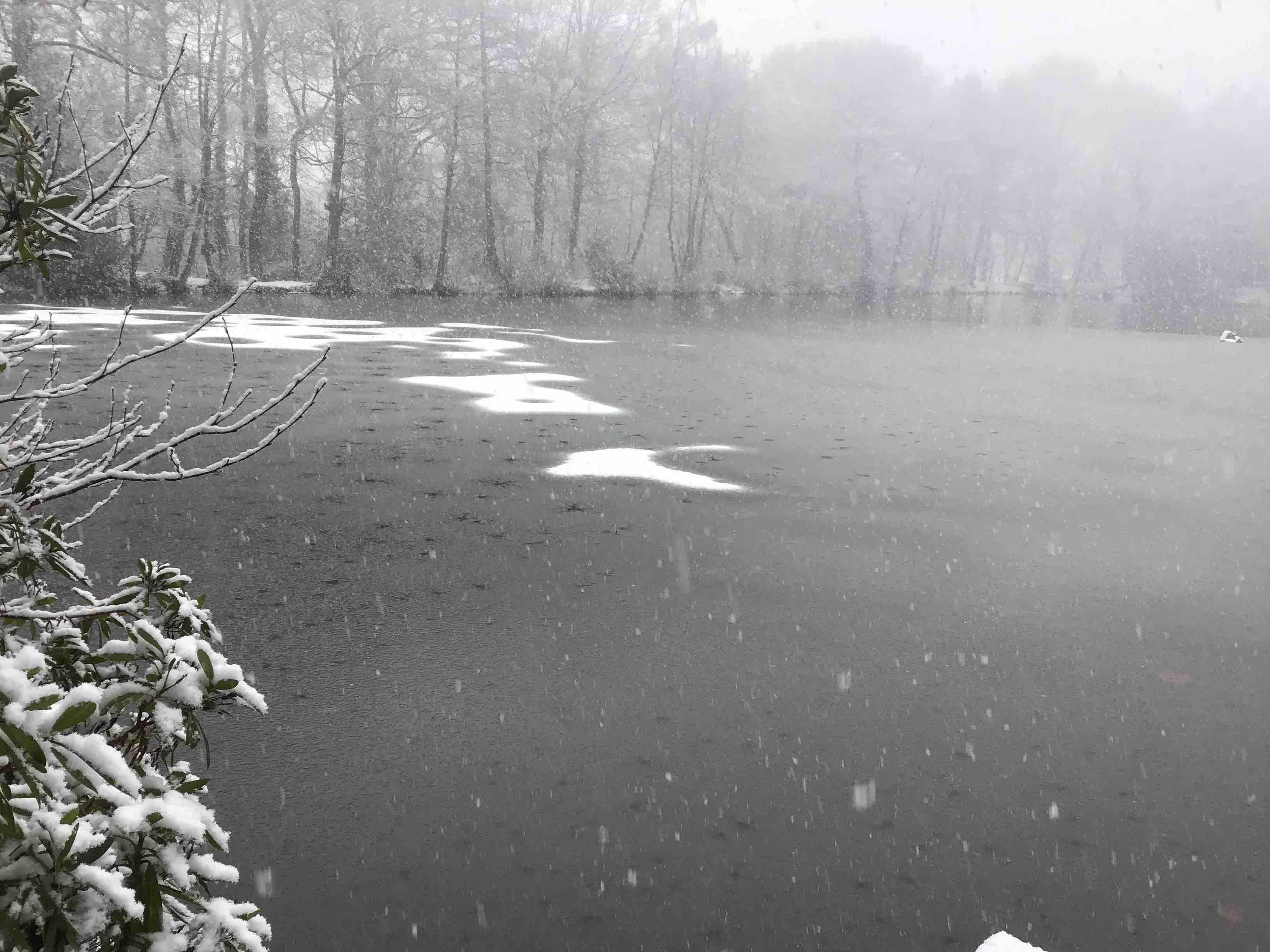My new lake in the snow